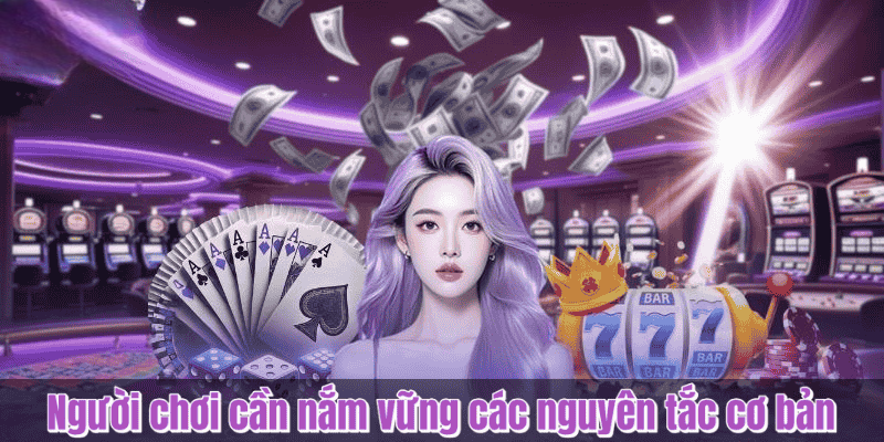 Đăng Nhập Tructiepbongda – Hướng Dẫn Gia Nhập An Toàn Đúng Cách